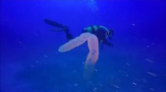 Салпс - вонземјани роднини на лице